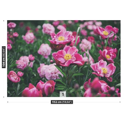 Fotótapéta Pink Peonies