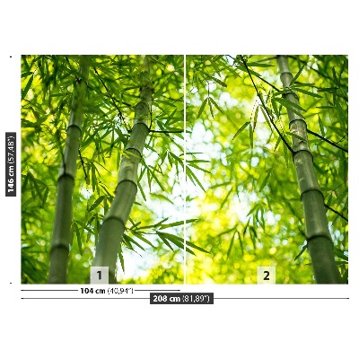 Fotótapéta Bamboo ág