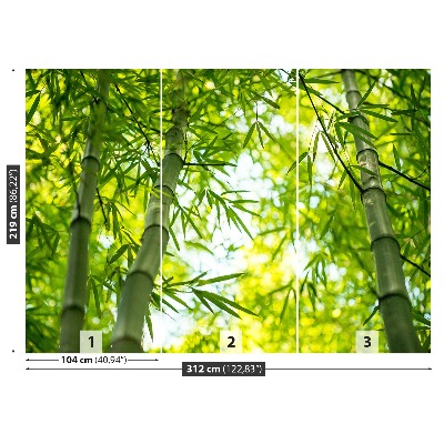 Fotótapéta Bamboo ág
