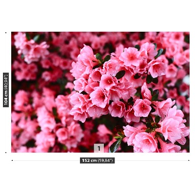 Fotótapéta Pink rhododendron