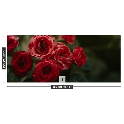 Fotótapéta Vintage rózsák