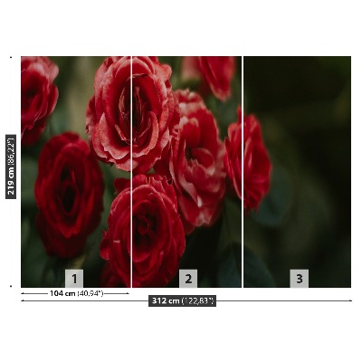 Fotótapéta Vintage rózsák