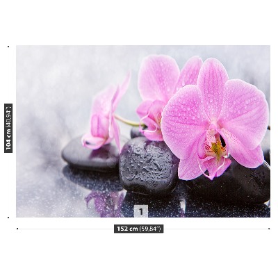 Fotótapéta orchidea Stones