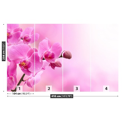 Fotótapéta rózsaszín orchidea