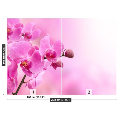 Fotótapéta rózsaszín orchidea