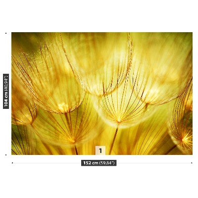 Fotótapéta Dandelion arany