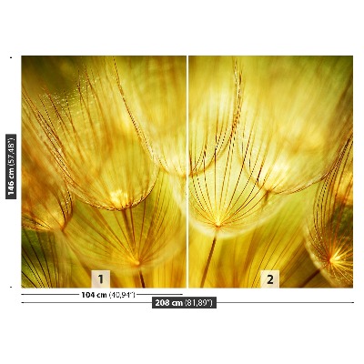 Fotótapéta Dandelion arany