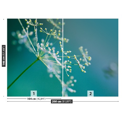 Fotótapéta kapor virág