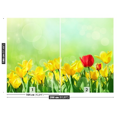 Fotótapéta sárga tulipán