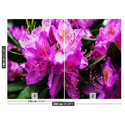 Fotótapéta lila virágok