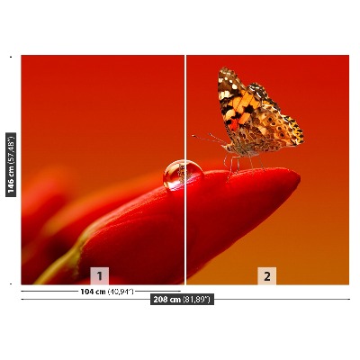 Fotótapéta tulipán pillangó