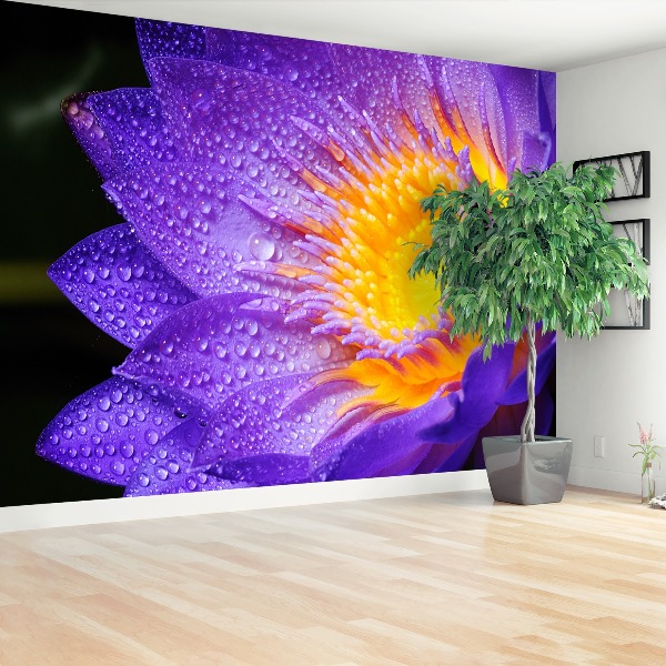Fotótapéta Purple Lotus