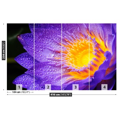 Fotótapéta Purple Lotus