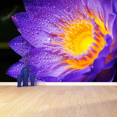 Fotótapéta Purple Lotus