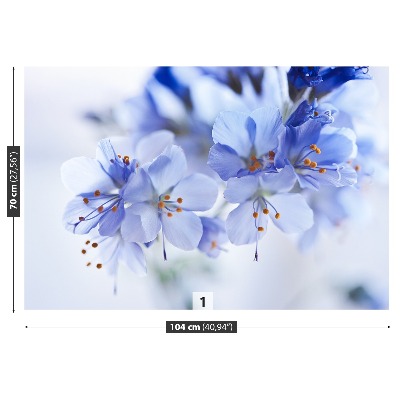 Fotótapéta kék virágok