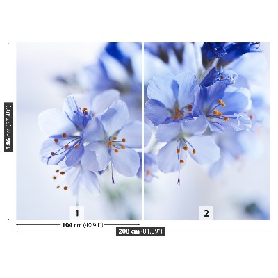 Fotótapéta kék virágok