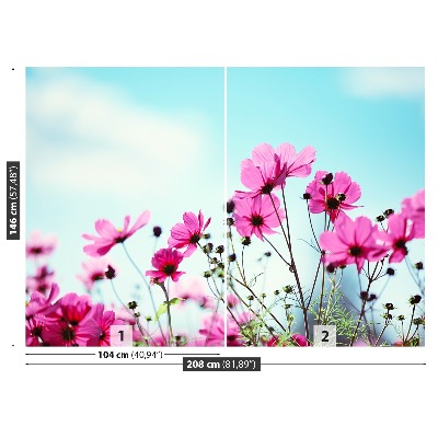 Fotótapéta virág Sky