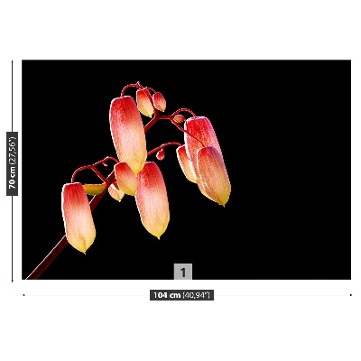 Fotótapéta Fekete virág