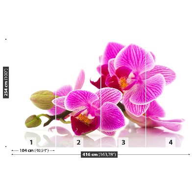 Fotótapéta orchidea virágok