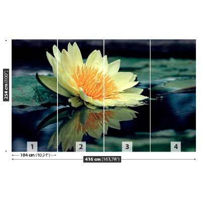 Fotótapéta lótusz virág