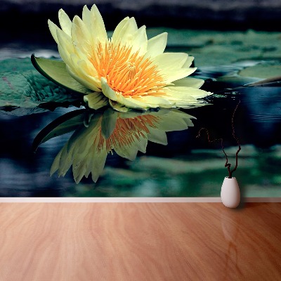 Fotótapéta lótusz virág