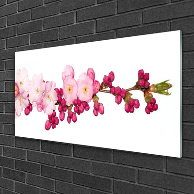 Akrilüveg fotó Cherry Blossom Twig