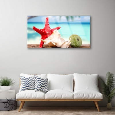 Akrilüveg fotó Shell Starfish Art