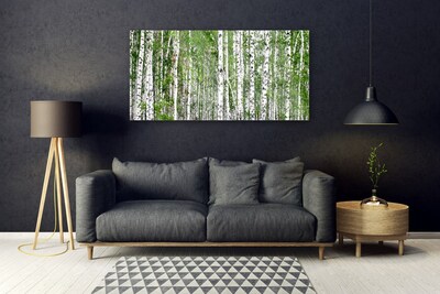 Akrilüveg fotó Nyírfa erdő Természetvédelmi
