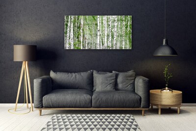 Akrilüveg fotó Nyírfa erdő Természetvédelmi
