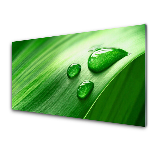 Akril üveg kép Leaf Water Drops