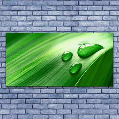 Akril üveg kép Leaf Water Drops