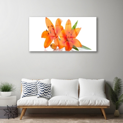Akril üveg kép Orange növény virágai