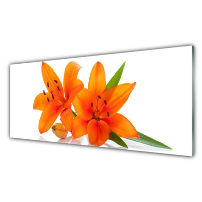 Akril üveg kép Orange növény virágai