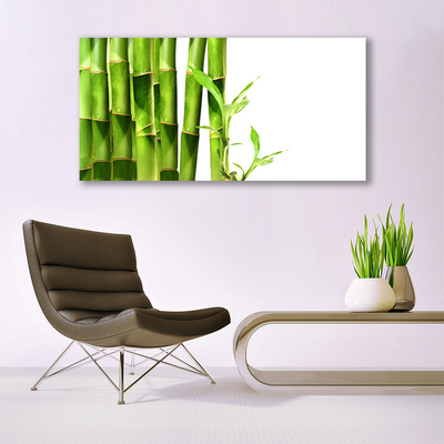 Akrilkép bambusz növény