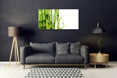 Akrilkép bambusz növény