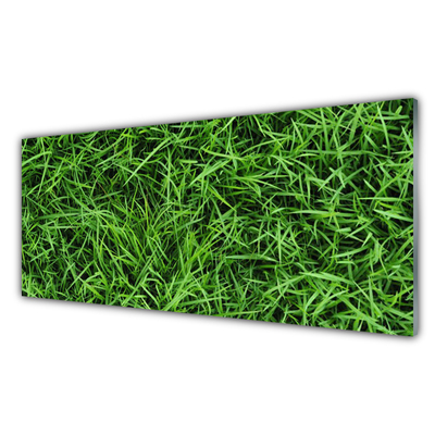 Akril üveg kép fű Lawn