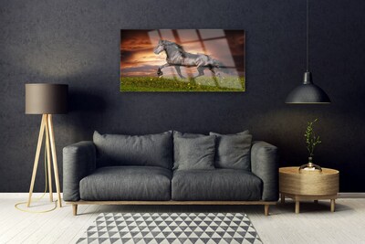 Akrilüveg fotó Black Horse Meadow Állatok