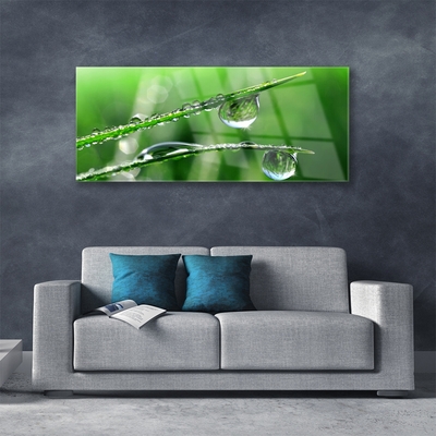 Akril üveg kép Grass Dew Drops