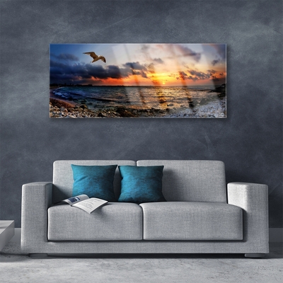 Akril üveg kép Sea Gull Beach Landscape