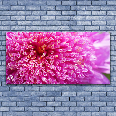Akrilkép Virág A Wall