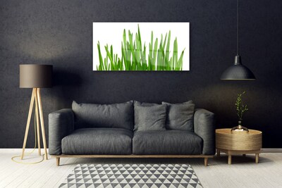 Akrilkép Grass A Wall