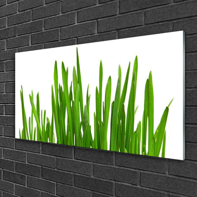 Akrilkép Grass A Wall