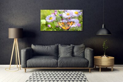 Akrilkép Növény virágok Butterfly Nature