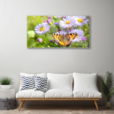 Akrilkép Növény virágok Butterfly Nature