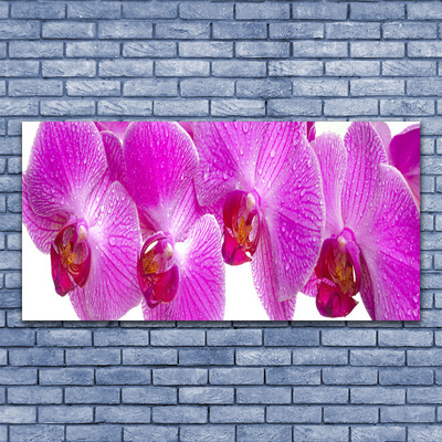 Akril üveg kép Virág növény természet