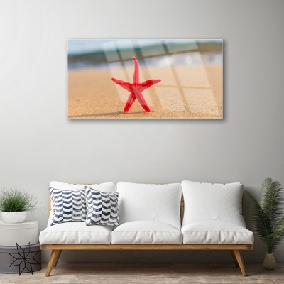 Akrilüveg fotó Starfish Beach Art