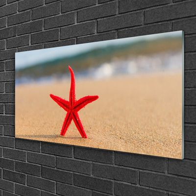 Akrilüveg fotó Starfish Beach Art