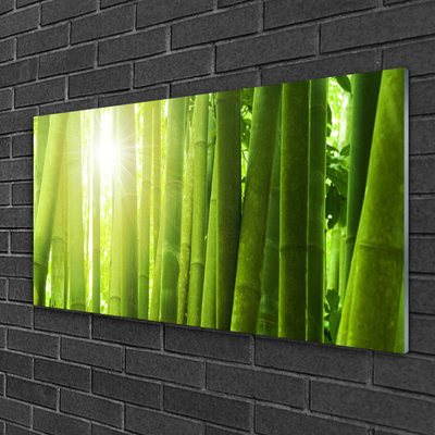 Akril üveg kép bambusz növény