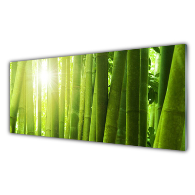 Akril üveg kép bambusz növény