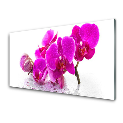 Akril üveg kép árvácska virág